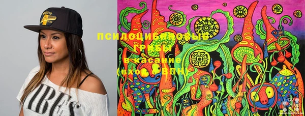 гидра Абдулино