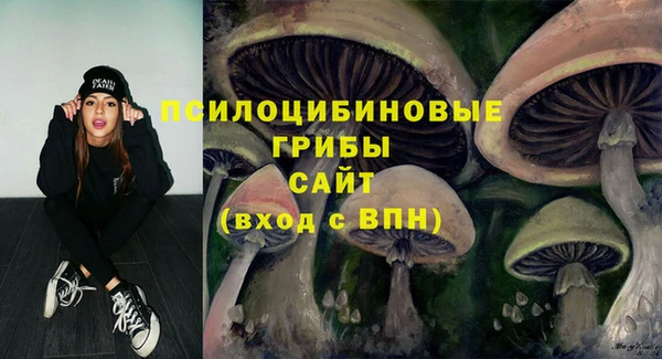 МДПВ Протвино