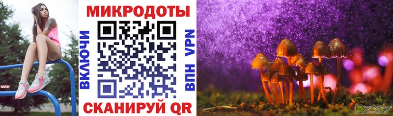 Галлюциногенные грибы мицелий  купить закладку  hydra зеркало  Каменногорск 